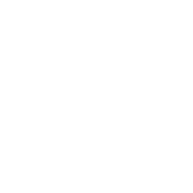ZG Developments